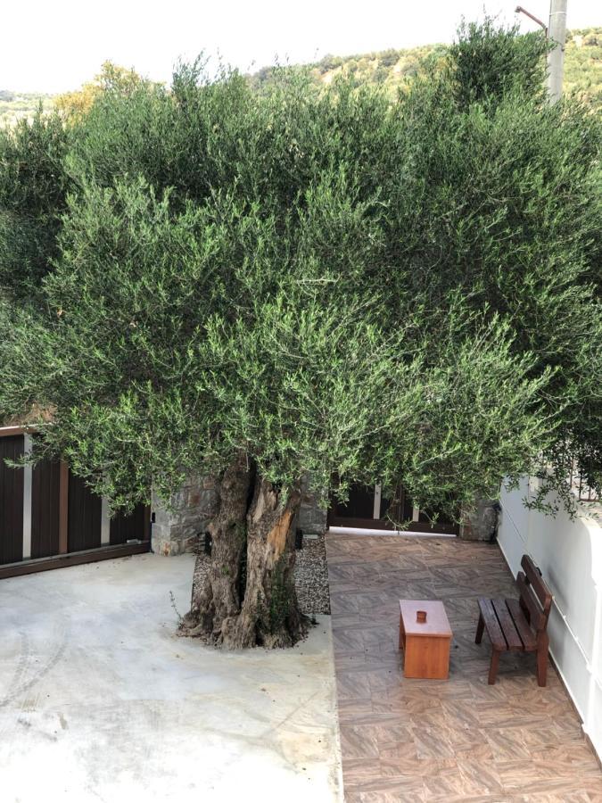 Creta Galini House Βίλα Sirílion Εξωτερικό φωτογραφία